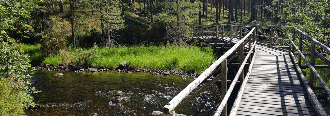 Hieronta Elegia herokuva 1